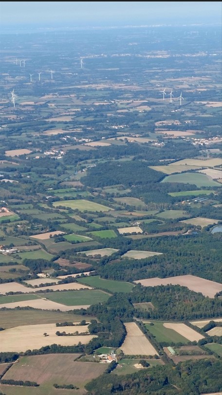 Champ d'éoliennes vu du ciel