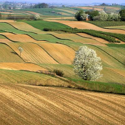 Paysages de Loire Atlantique